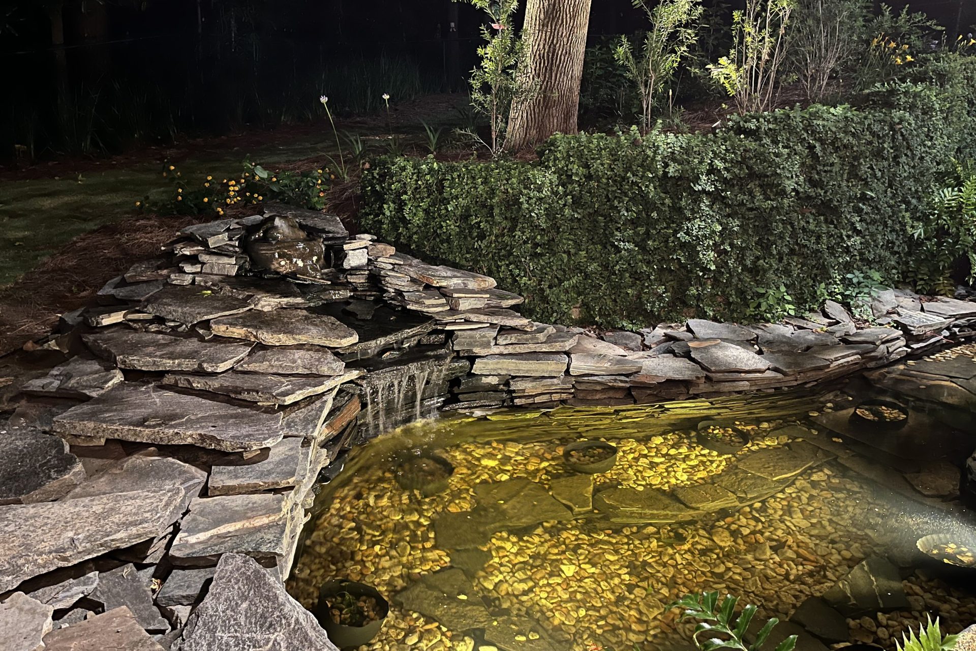 Natural stone pond with waterfall feature and landscape lighting, designed by Dorsey Builders, custom outdoor living in Dothan, AL.